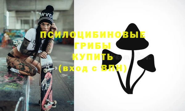 эйфоретик Дмитриев