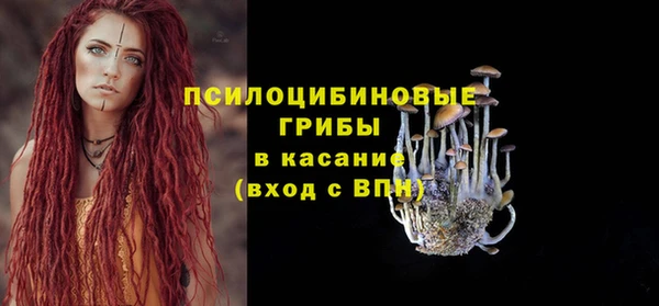 экстази Дмитров