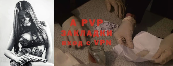 эйфоретик Дмитриев