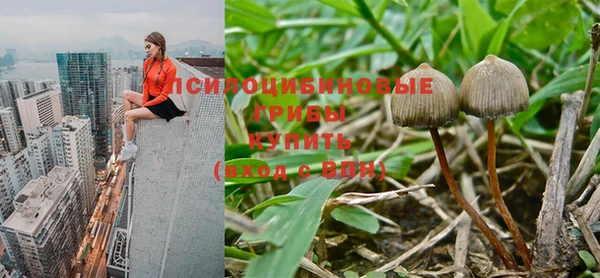 экстази Дмитров