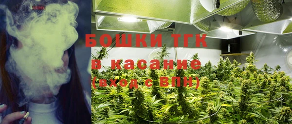 эйфоретик Дмитриев